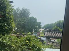 -慢丽江·云南野生菌土鸡锅(付家庄店)