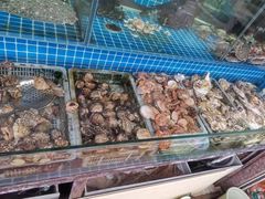 -富临港·蒸汽海鲜·手抓海鲜·炒菜(栈桥店)