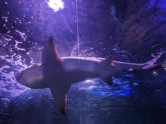 -常州海昌海洋探索馆