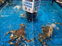 -大润发(康桥店)