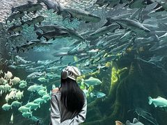 -哈尔滨波塞冬海底世界