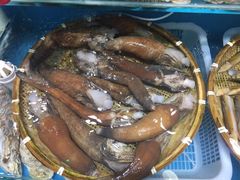 -港畔赶海蒸汽海鲜烧烤自助(仙螺岛店)