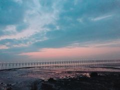 -宝安西湾红树林湿地公园