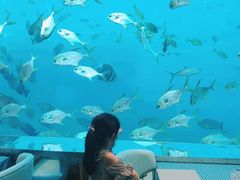 -瑞德姆美人鱼海底演艺主题餐厅(亚龙湾店)