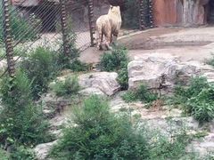 -沈阳森林动物园