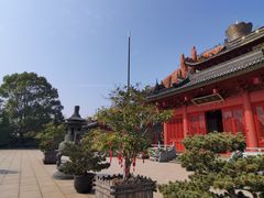 -上海东林寺(金山区)