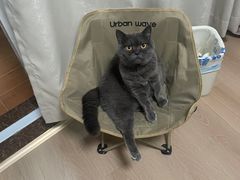 -pd派德宠物中心医院24H急重症·眼科中心·血液透析中心(嵩山北路店)