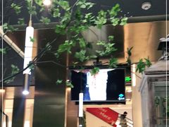 -青花椒花椒鱼(合生汇店)