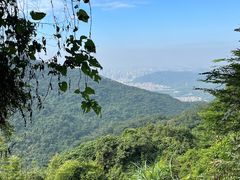 -梧桐山风景名胜区