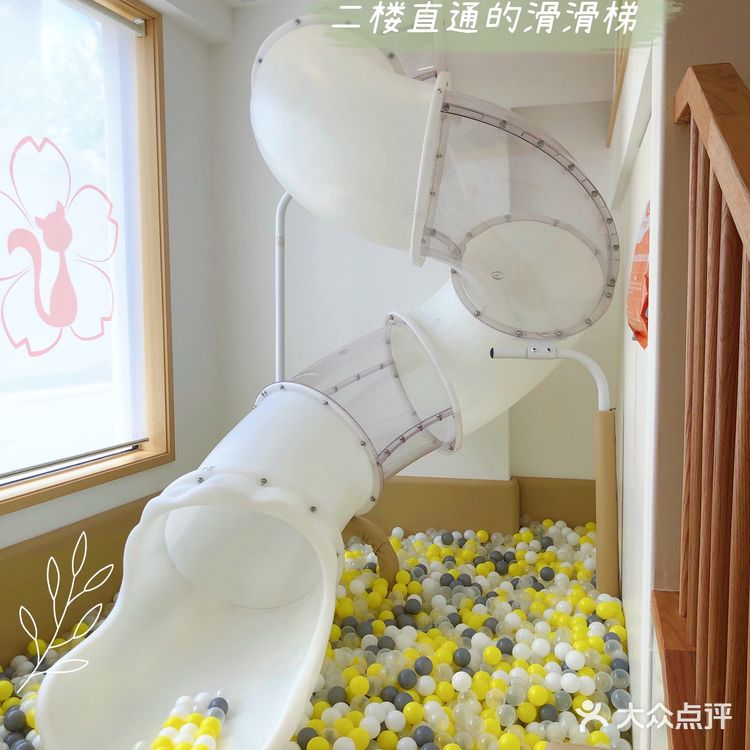 去了这家托育园，她竟然不要妈妈了，探秘古力古利专业学前教育班