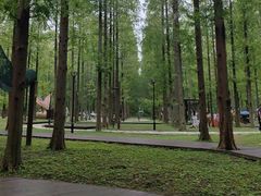 -黄海国家森林公园