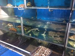 水产区-欣旺·迎宾楼·百年无锡菜