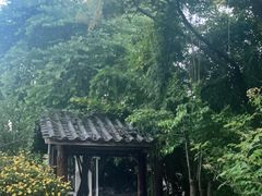 -乡村小榭饭店