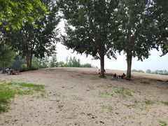 -东郊湿地公园