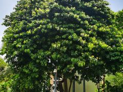 -天悦阁海景酒廊