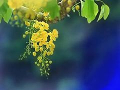 -城南往事·鲁菜济南菜(长清园博园恒大绿洲店)