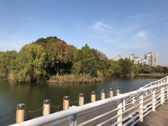 -新江湾城公园