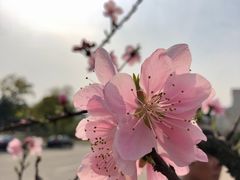 -江南大学(蠡湖校区)