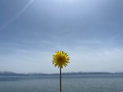 -赛里木湖风景名胜区