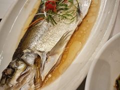 -聚鑫阁江浙菜·非遗传承技艺(闵行交大店)