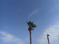 -碧海金沙