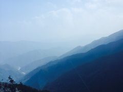 牛背梁国家森林公园-牛背梁国家森林公园