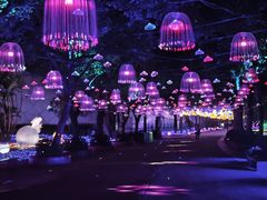 -观澜湖生态运动公社