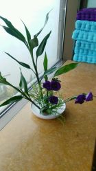 -新寰亚月子会所(金鸡湖凯宾店)