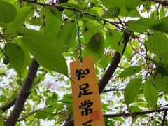 -漫花庄园