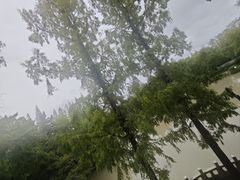 -汇龙潭