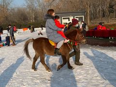 -北京亚布洛尼朝阳公园滑雪场
