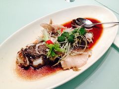 -骏莱海鲜鱼港(五角场店)