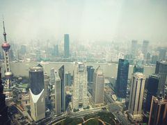 -The lounge 柏悦酒店大堂酒廊(上海环球金融中心店)