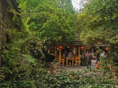 -青城甲(青城山店)