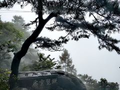 -庐山风景区花径公园