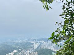 -梧桐山风景名胜区