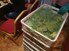 -销魂美蛙鱼头火锅(上海首店)