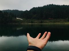 -武陵山森林公园