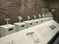 -余姚博物馆