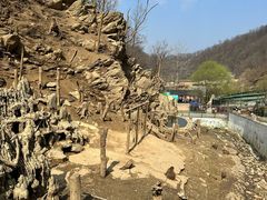 -栾川竹海野生动物园