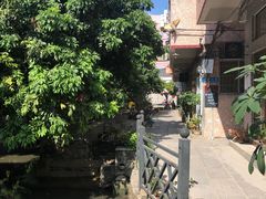 -小洲村