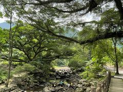 -广州市石门国家森林公园