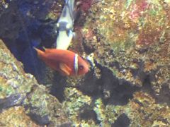 -福州罗源湾海洋世界旅游区