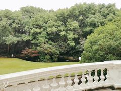 -上海市工艺美术博物馆