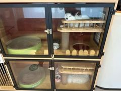 -御宝贝·A梦猫科宠物医院(国际猫友好医院)