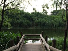 -新江湾城公园