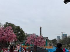 -南湖梦幻岛