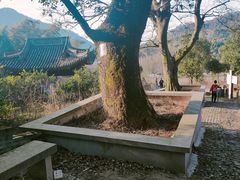 -东钱湖旅游度假区