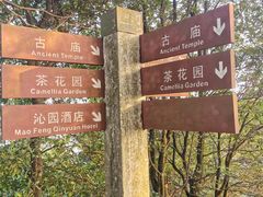 -广州市帽峰山景区