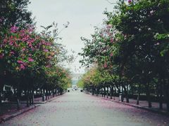 -广州大学华软软件学院新闻中心